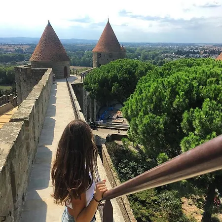 Confort ! Climatisation, Calme, Piscine, Parking Gratuit, Terrasse, Wifi Carcassonne
